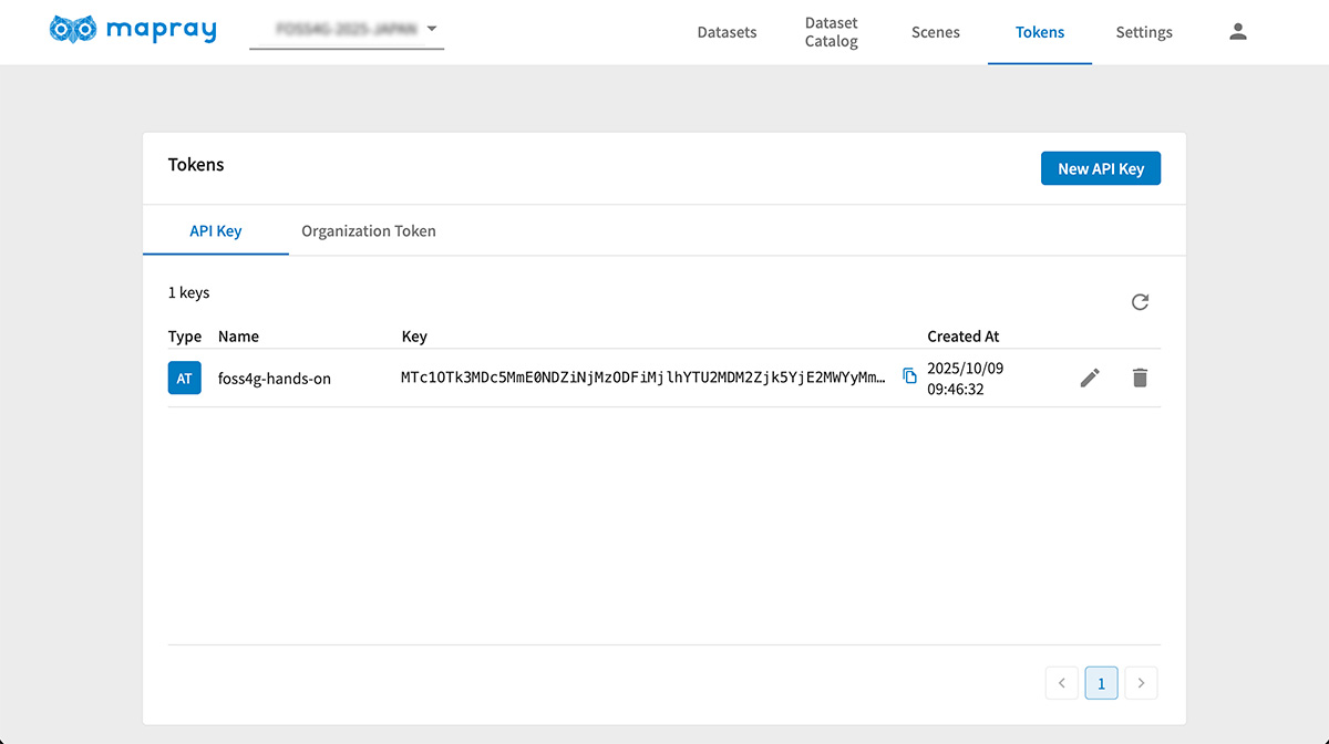 token-dashboard-created-apikey